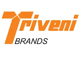 Triveni Engineering Share Price Target 2025, 2030, 2040 - Featured Image